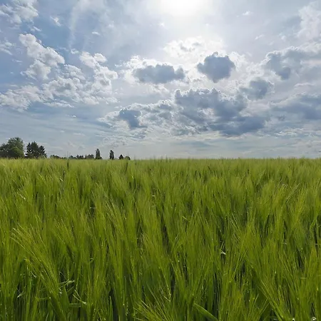 Near Bemelerberg Reserve Bemelen
