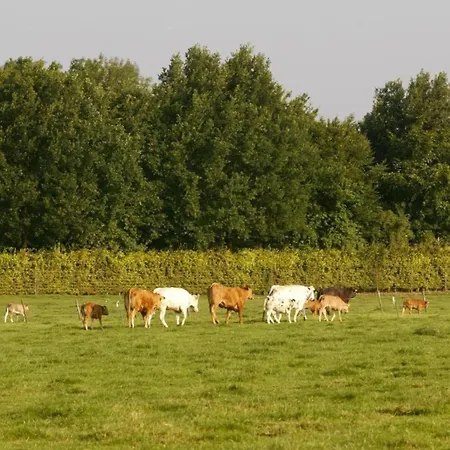 Vakantiehuis Near Bemelerberg Reserve *
