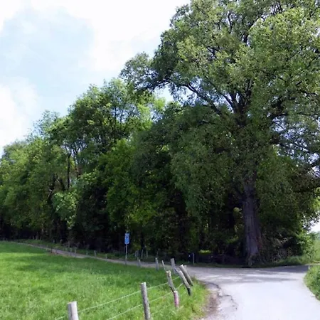 Hébergement de vacances Near Bemelerberg Reserve Bemelen