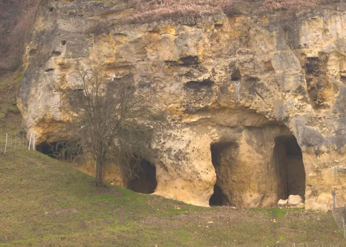 Ferienhaus Near Bemelerberg Reserve