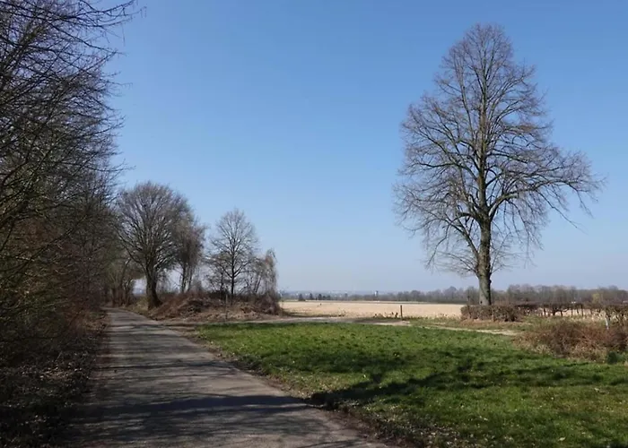 Near Bemelerberg Reserve *