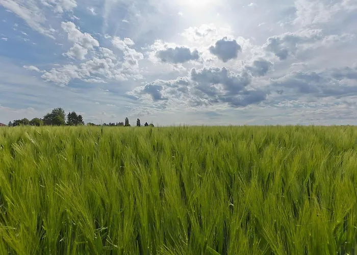 Near Bemelerberg Reserve Bemelen