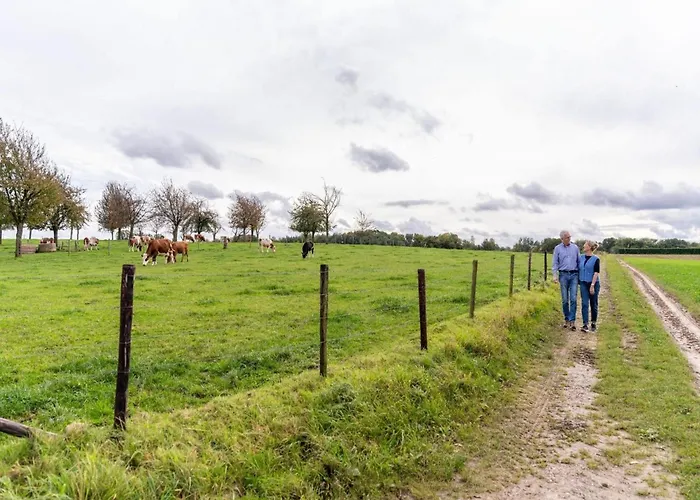 Near Bemelerberg Reserve *