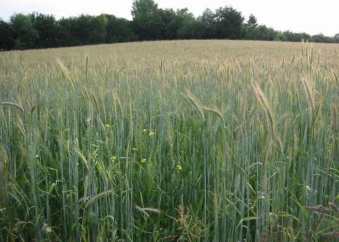 Near Bemelerberg Reserve * Bemelen