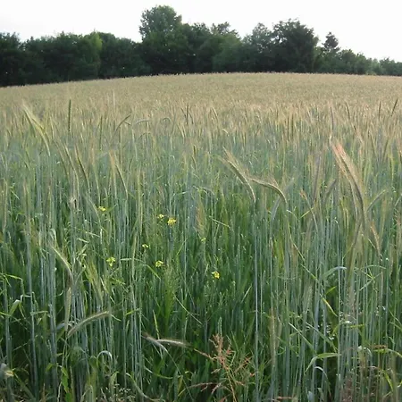 Near Bemelerberg Reserve * 베멜렌