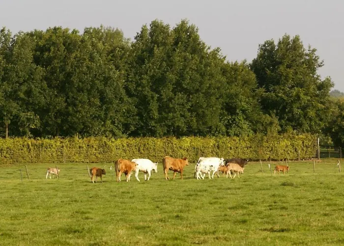 Vakantiehuis Near Bemelerberg Reserve *
